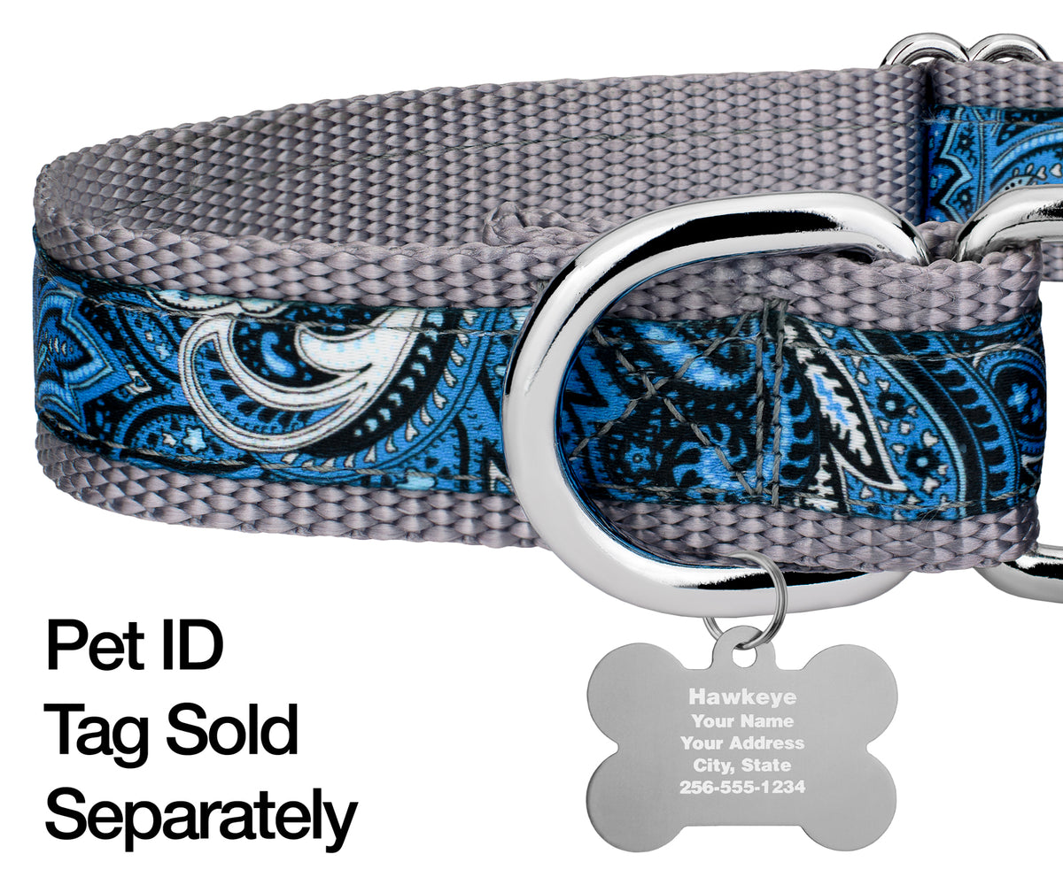 Blue Paisley Martingale Dog Collar N7124