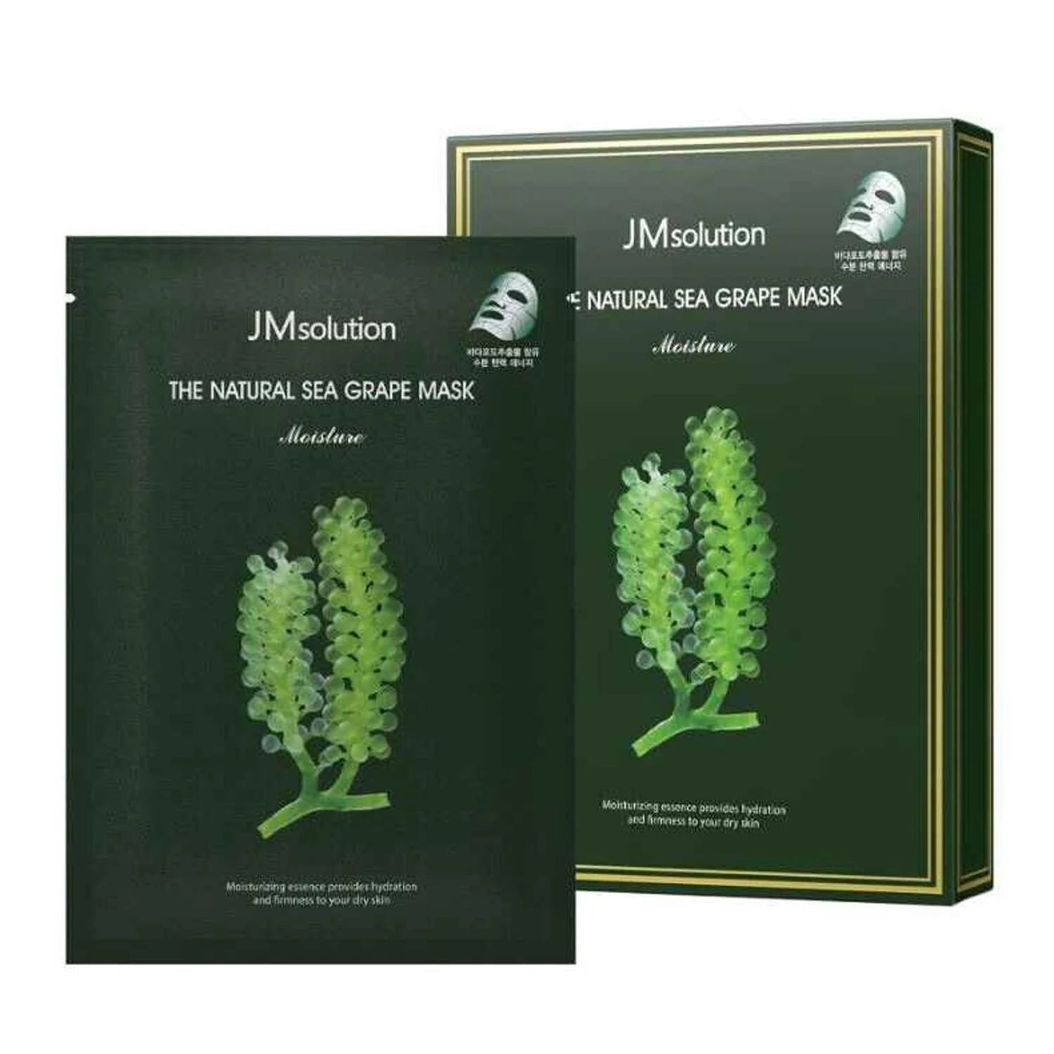 10pcs Sea Grape Mask D60771
