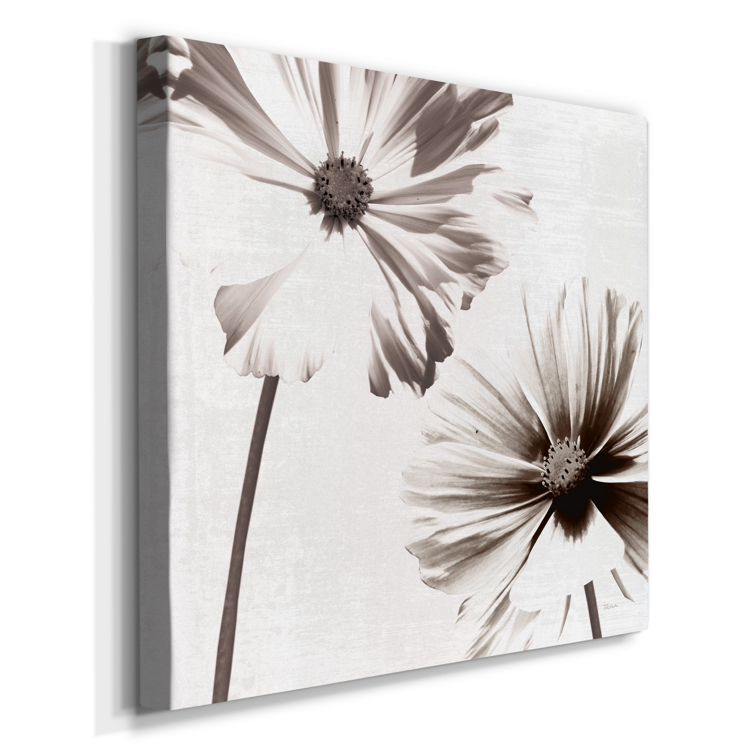 Gallery Wrapped Canvas 10X10 E546984