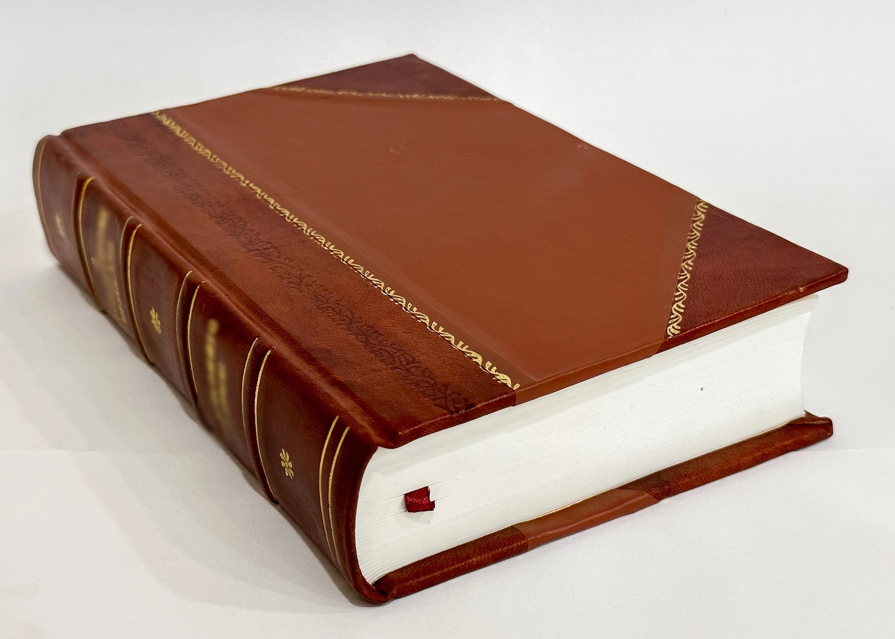 Leather Bound Book L5964