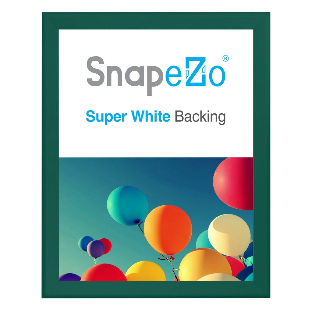 Snap Frame Poster 36x48 T20370