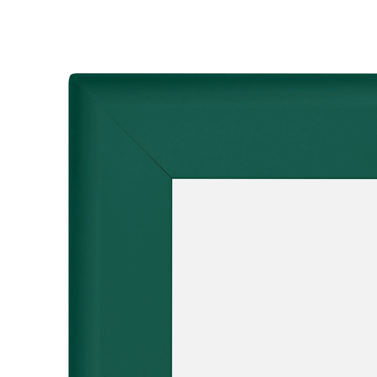 Snap Frame Poster 36x48 T20370