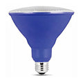 PAR38 LED Bulb, Case of 4 R5436