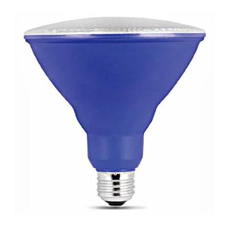 PAR38 LED Bulb, Case of 4 R5436