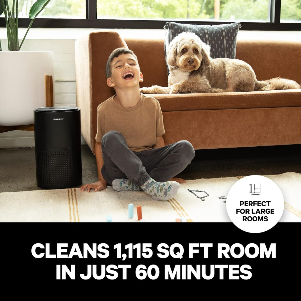 HEPA 14 Air Purifier for Large Room, Covers 1,115 Sq Ft P6436