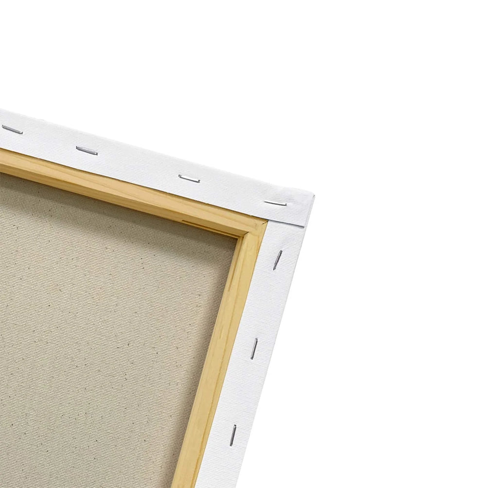 Decorative Canvas Wall Art V900