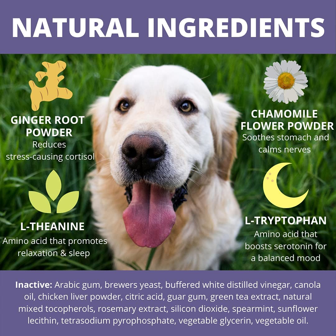 Calming Soft Chews for Dogs (60 Count Pack) E535187