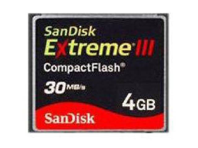 CompactFlash Flash Memory Card 4 GB U65038