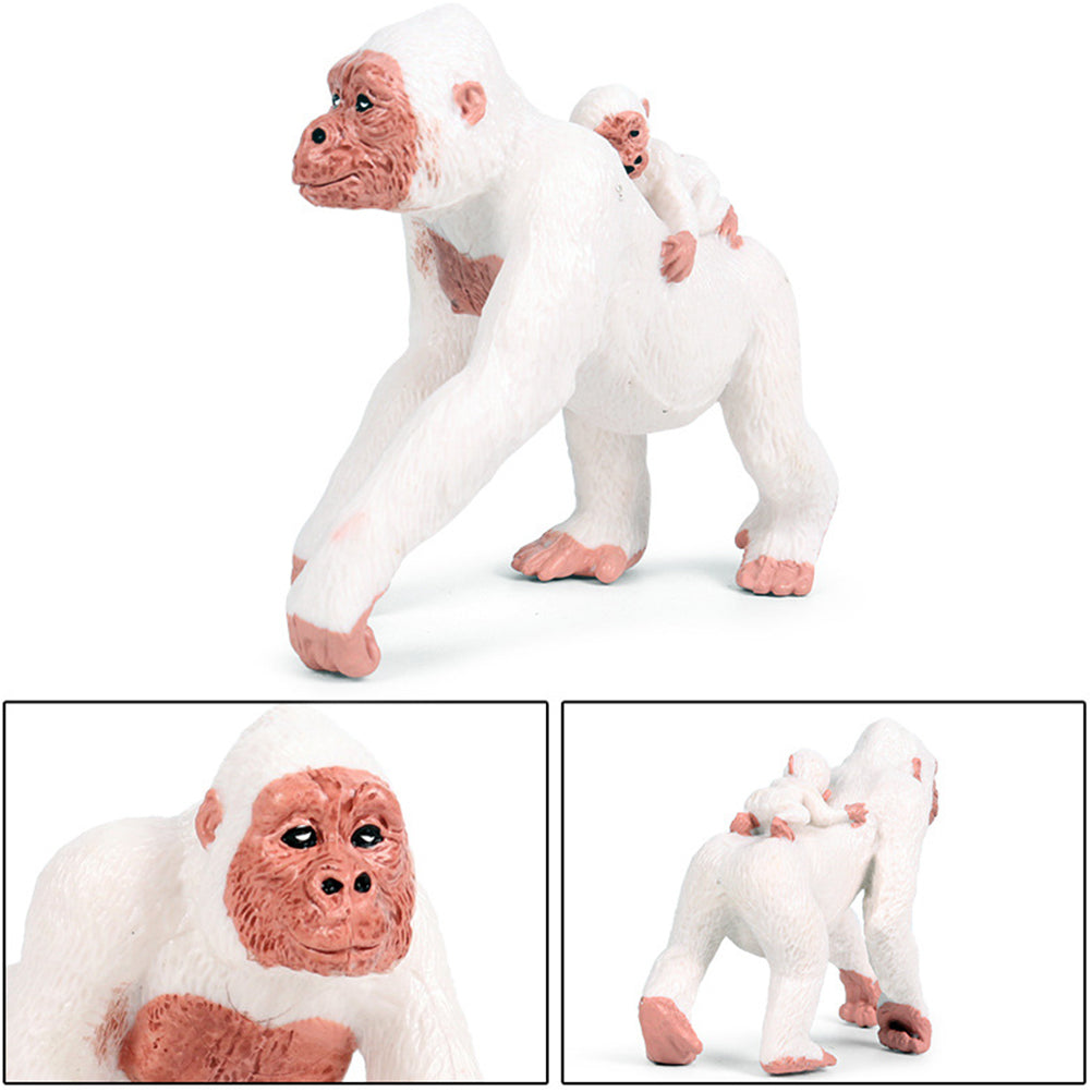 Fake Monkey Toy Educational Model Plaything Ornaments for Kid P2025