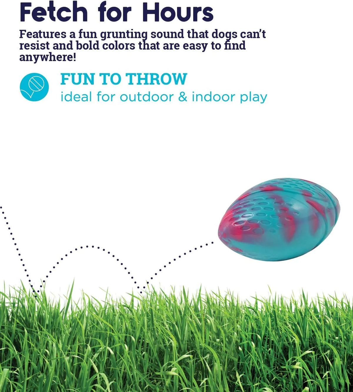 Football Dog Toy C24102