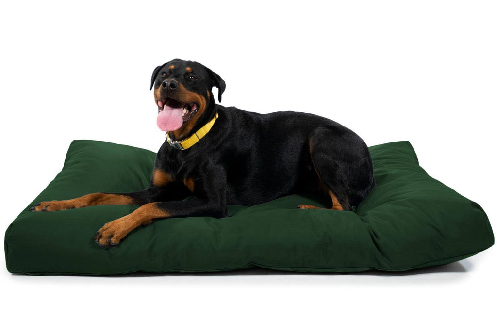 Green Large Chew Resistant Dog Bed K4536