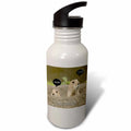 21 oz Sports Water Bottle B110