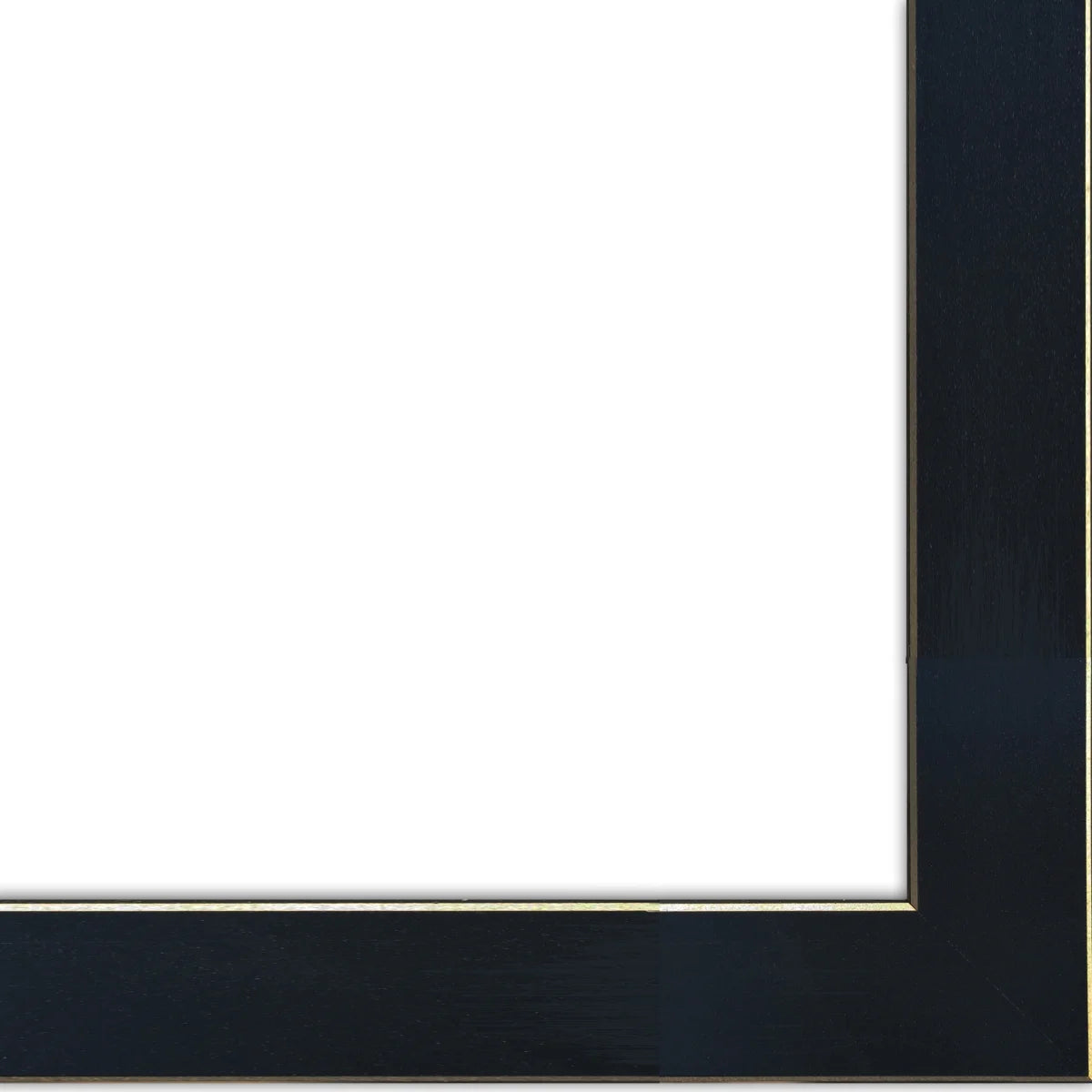 2-Piece Ready to Hang Framed Print, Black Frame I985091