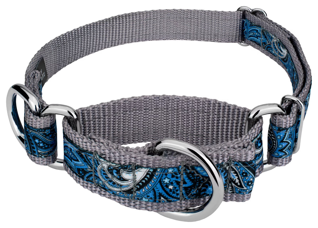 Blue Paisley Martingale Dog Collar N7124