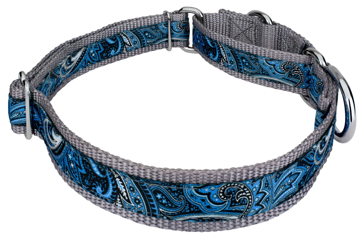 Blue Paisley Martingale Dog Collar N7124
