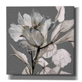 Floral in Gray 2 Canvas Wall Art 18"x18" J171