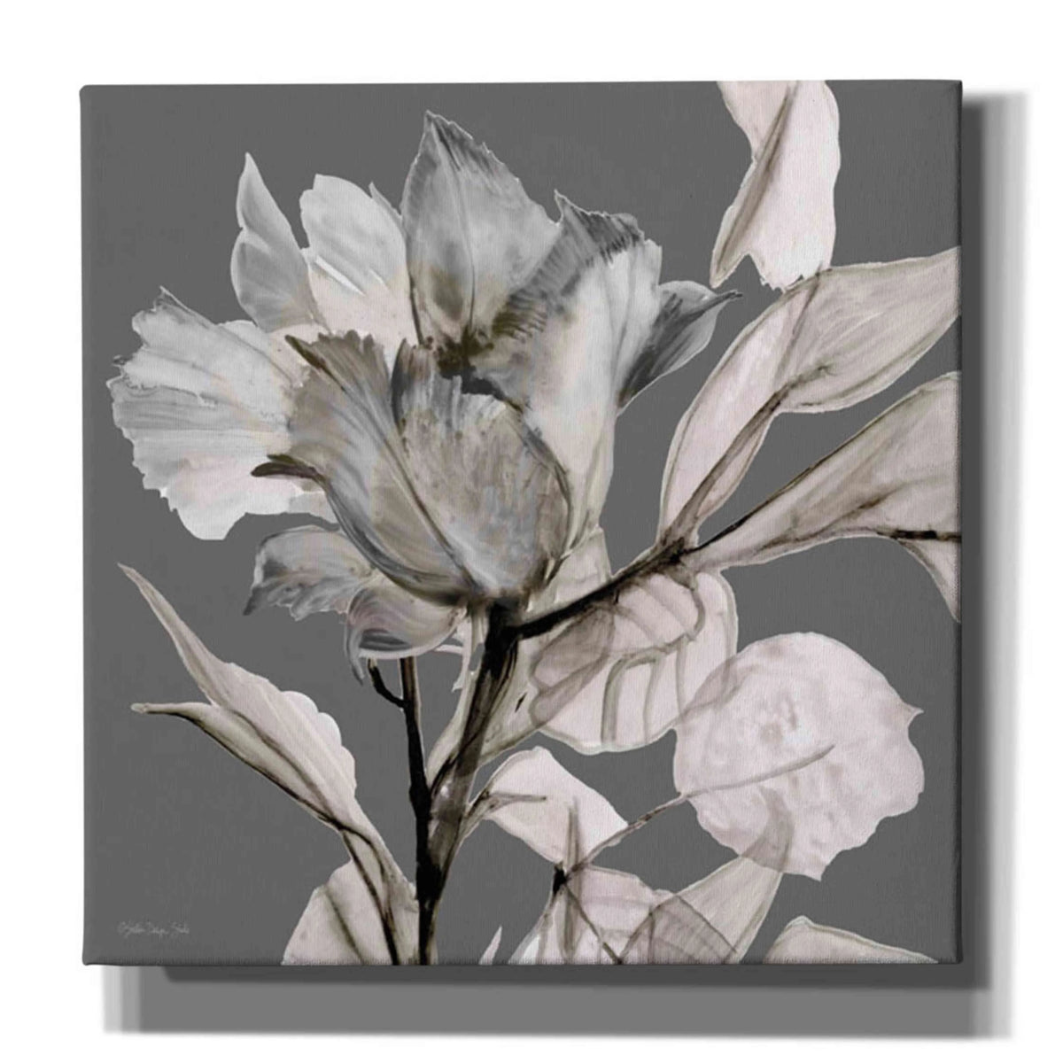 Floral in Gray 2 Canvas Wall Art 18"x18" J171
