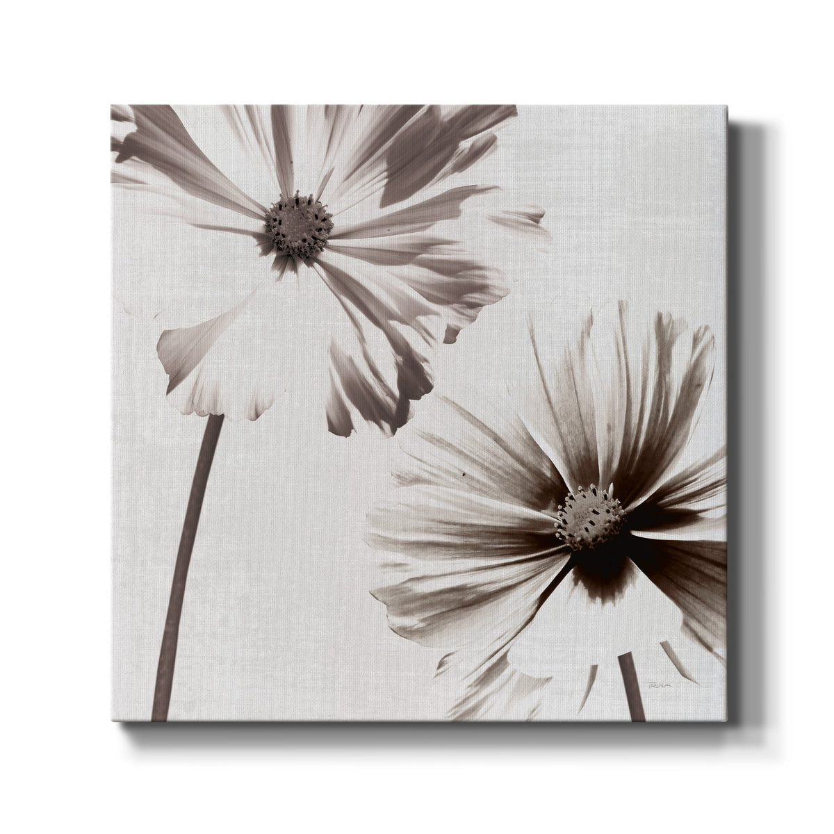 Gallery Wrapped Canvas 10X10 E546984