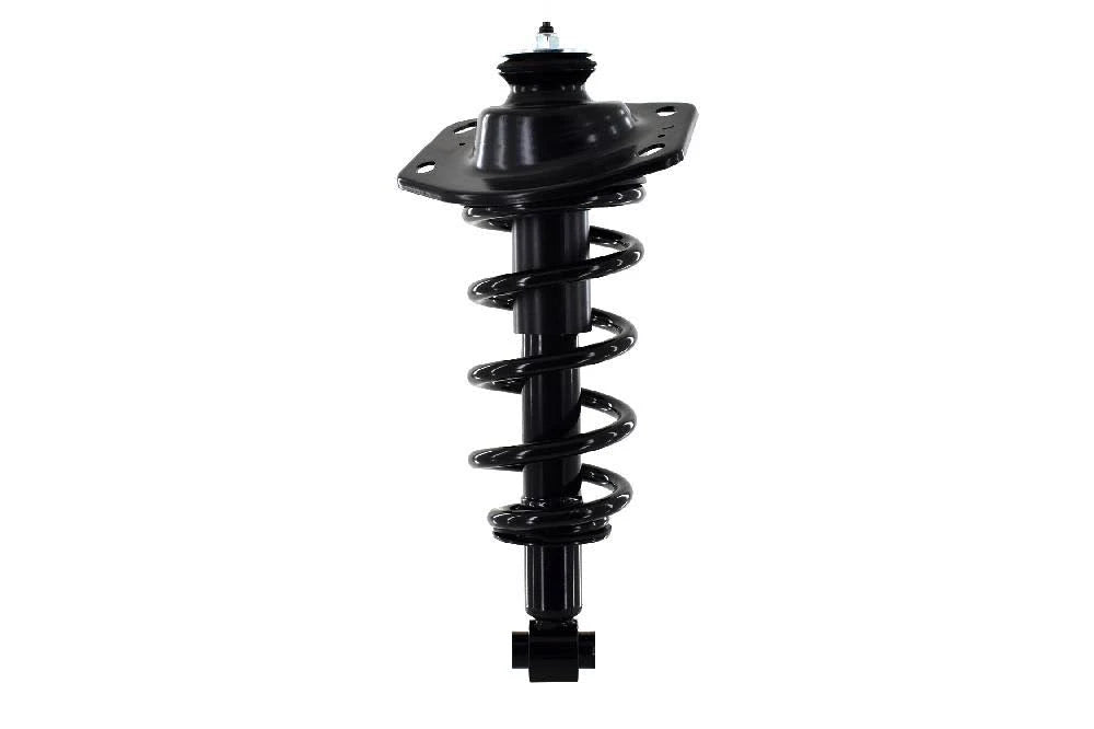 Suspension Strut and Coil Spring Assembly C844114