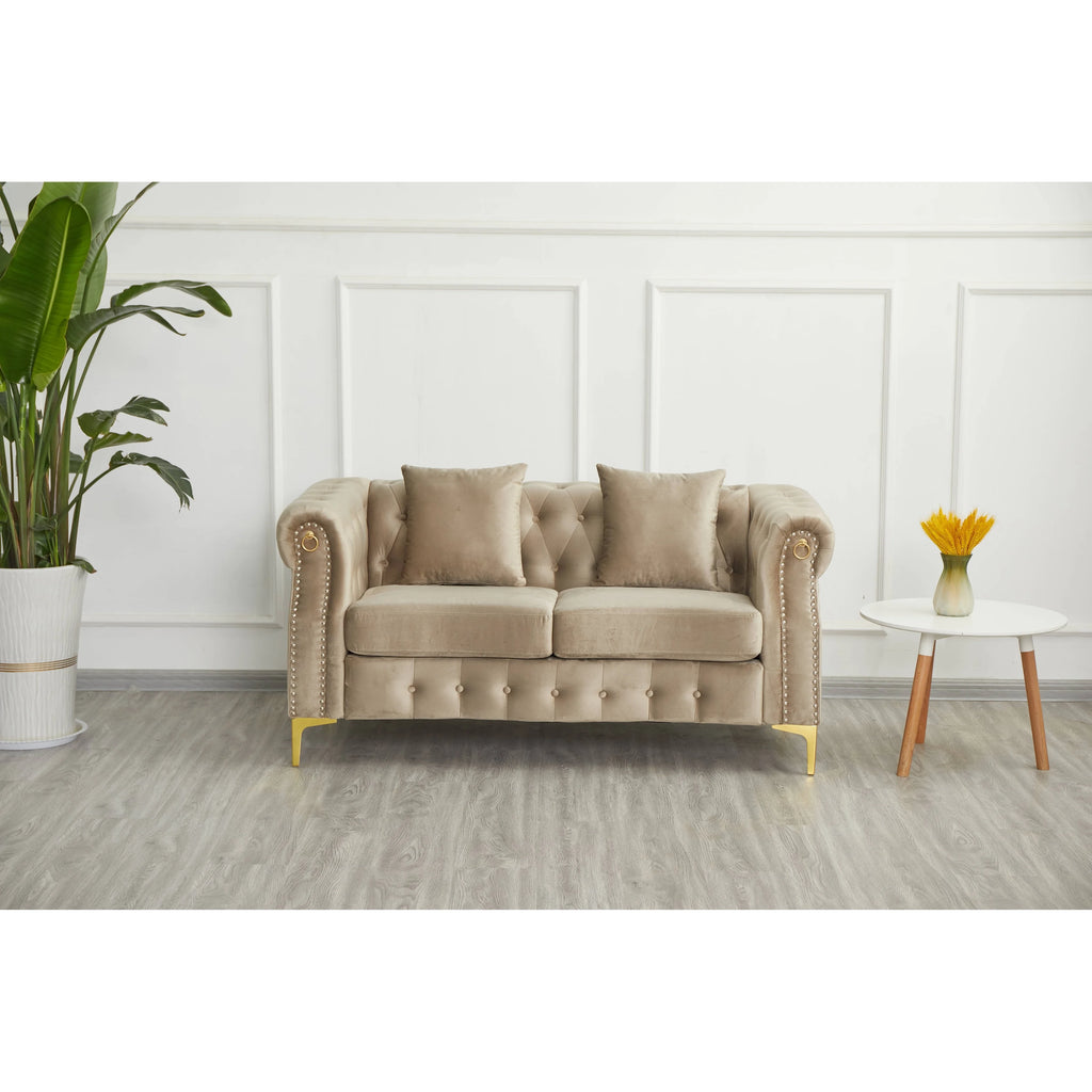 Beige 2 Piece Velvet Loveseat and Sofa Set W43699