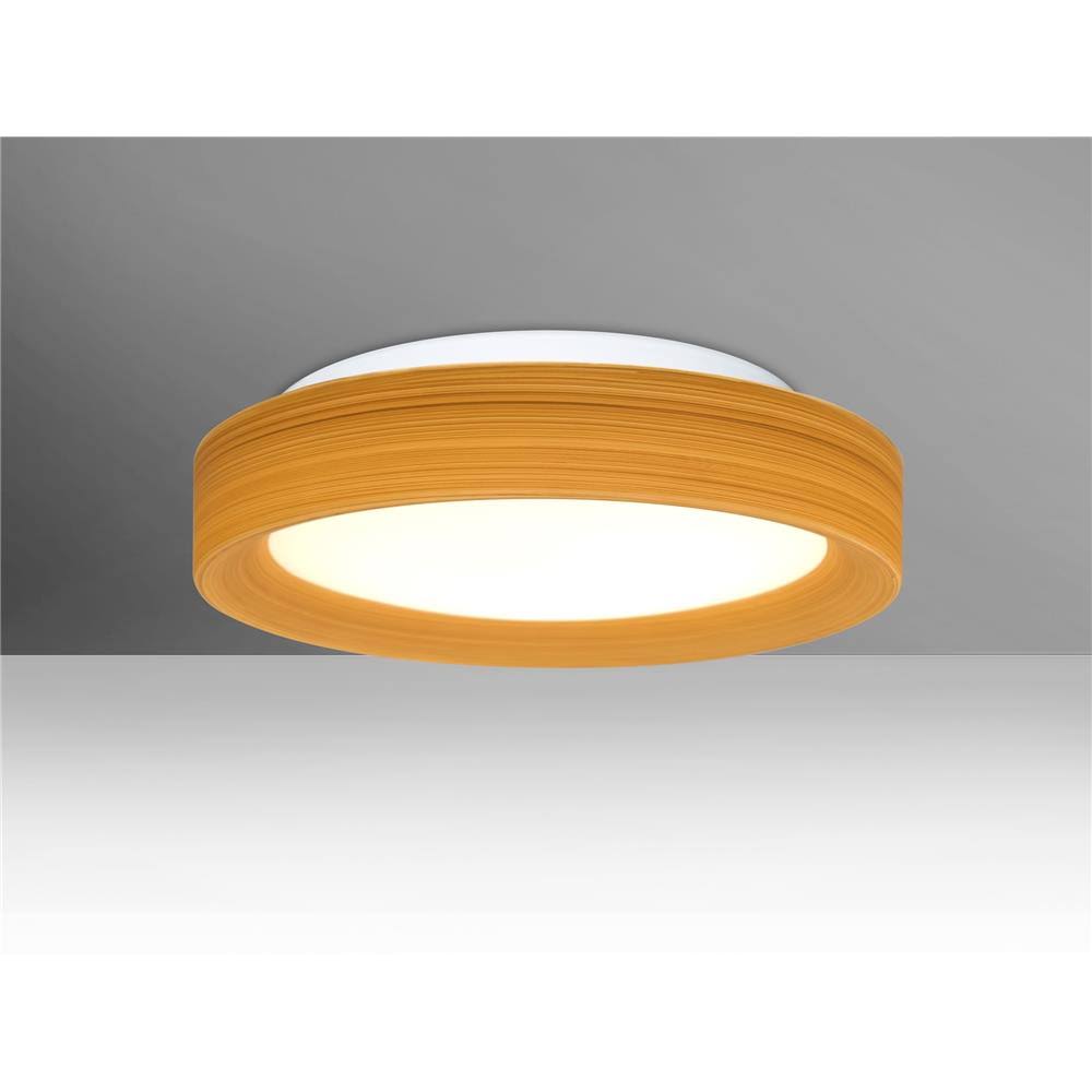 Ceiling Flush Mount J89923
