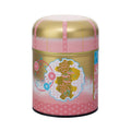 Steel Tea Caddy Can A559