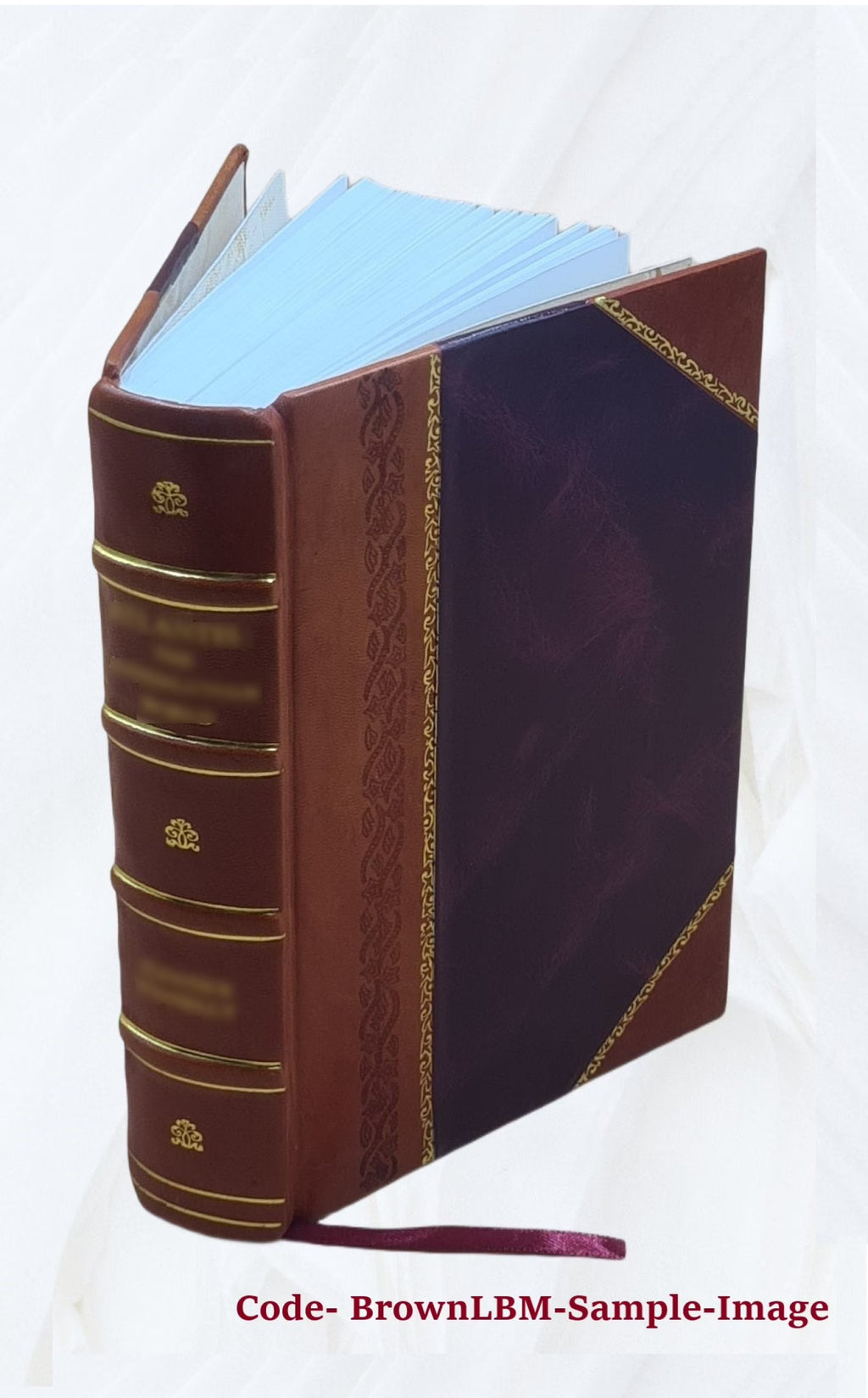Leather Bound Book X760173