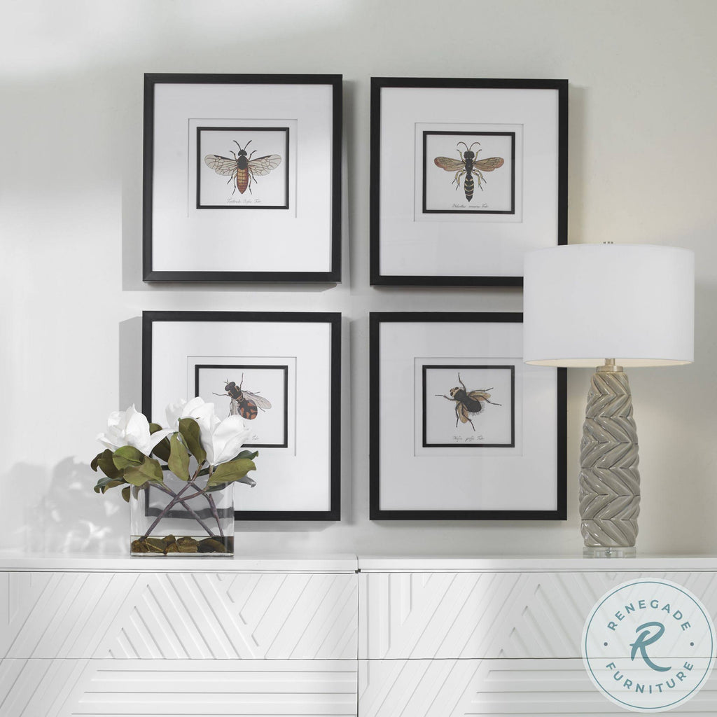 Set of 4 Framed Prints Y9168
