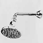 Stainless Steel Single Function Shower Head L716