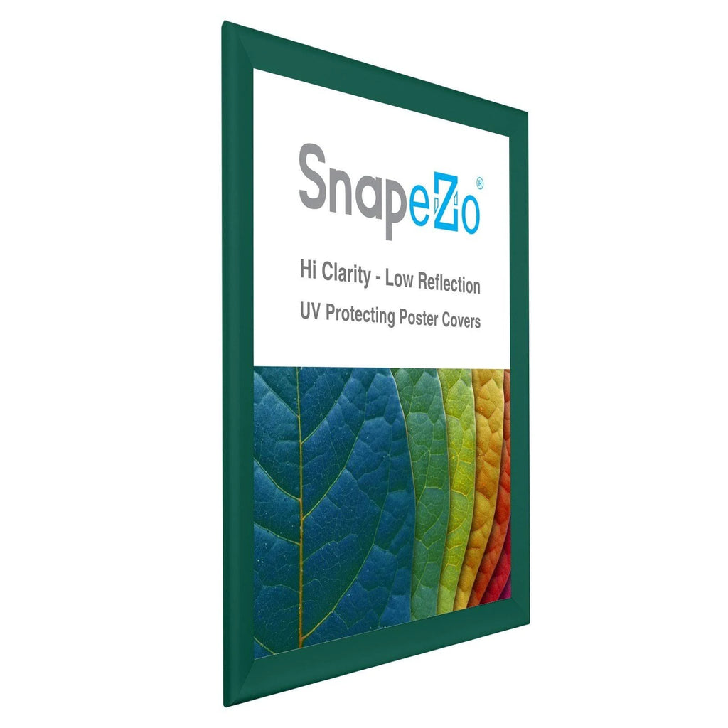 Snap Frame Poster 36x48 T20370