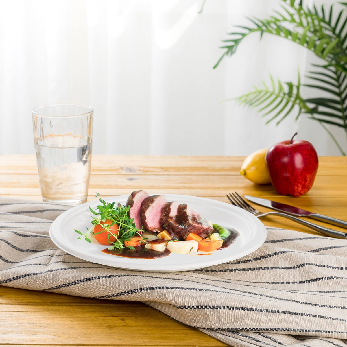 300 Pack Natural Compostable Sugarcane Plates N63920