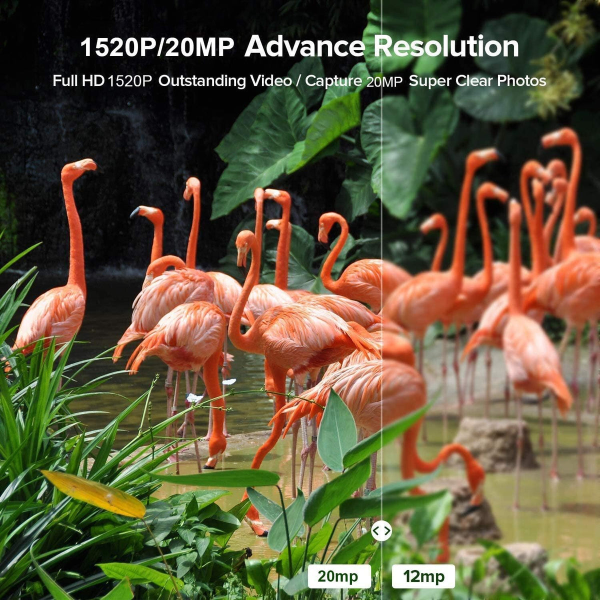 20MP Trail Camera with 120° Wide-Angle Motion Sensor and IP66 Waterproof U986011