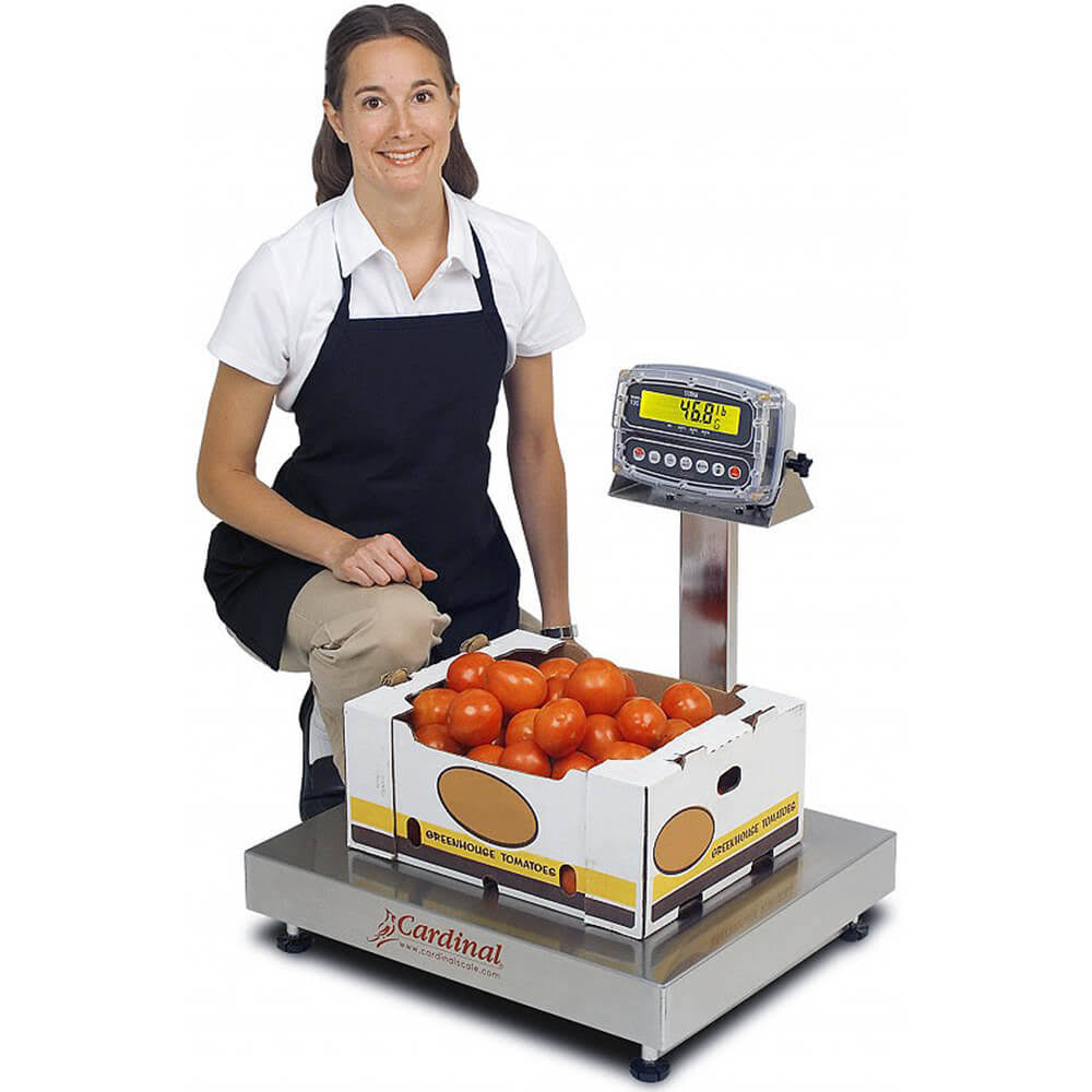 150 lb/60 kg Bench Scale with Indicator O44096