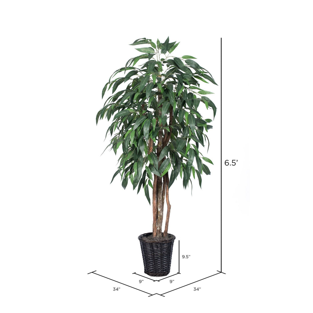 Green Mango Executive J6035