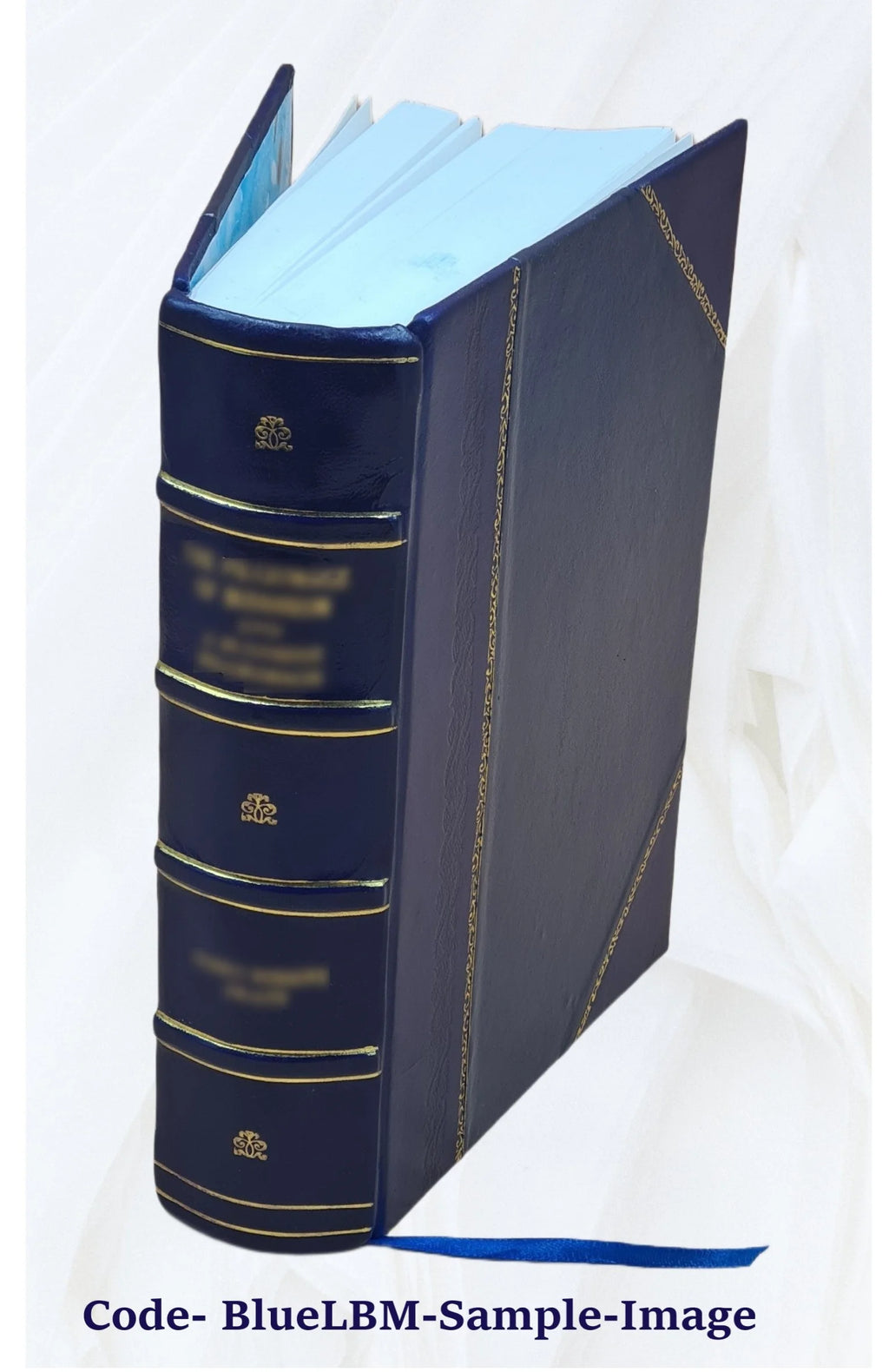 Leather Bound Book X760173