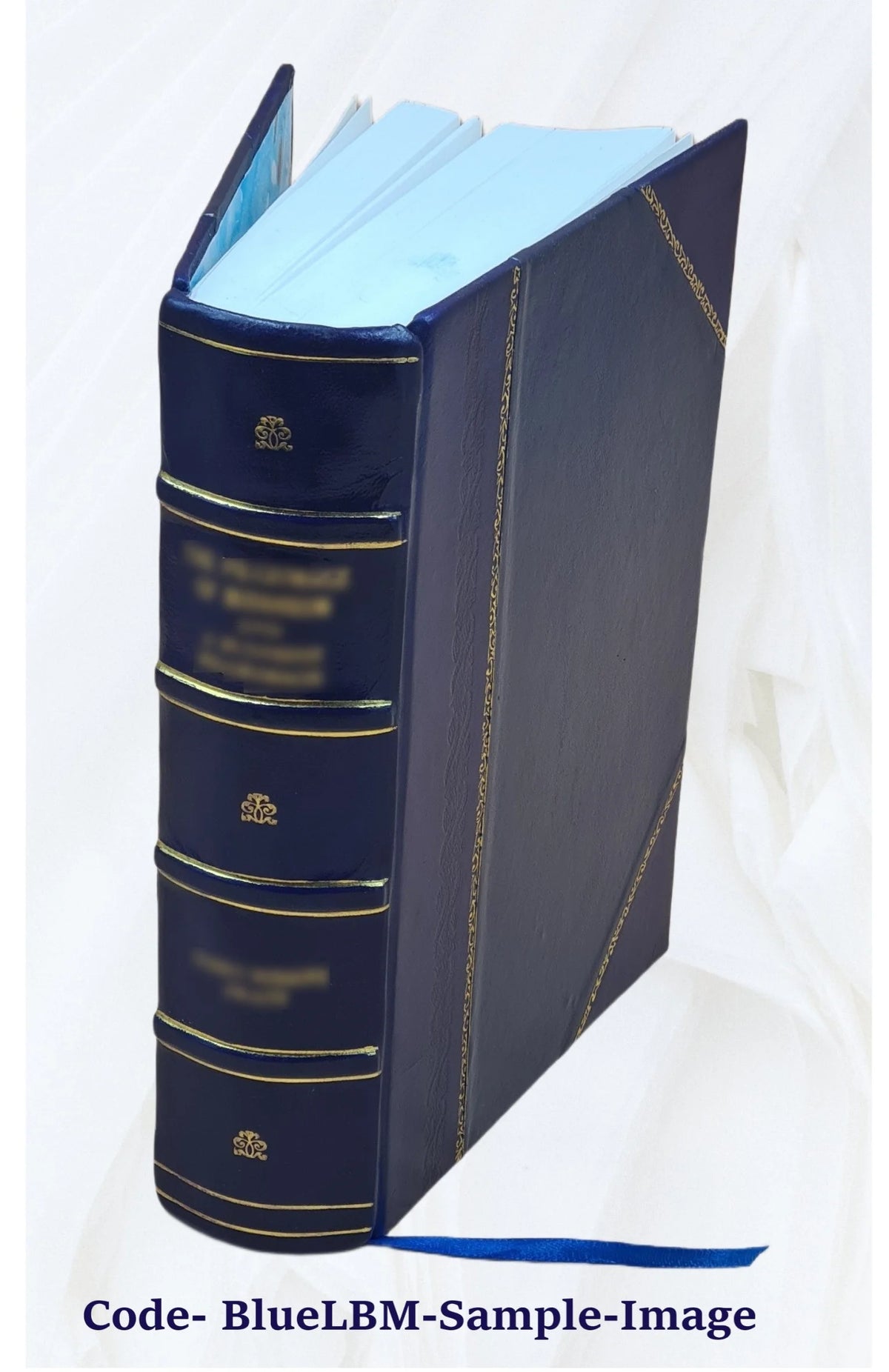 Leather Bound Book X760173