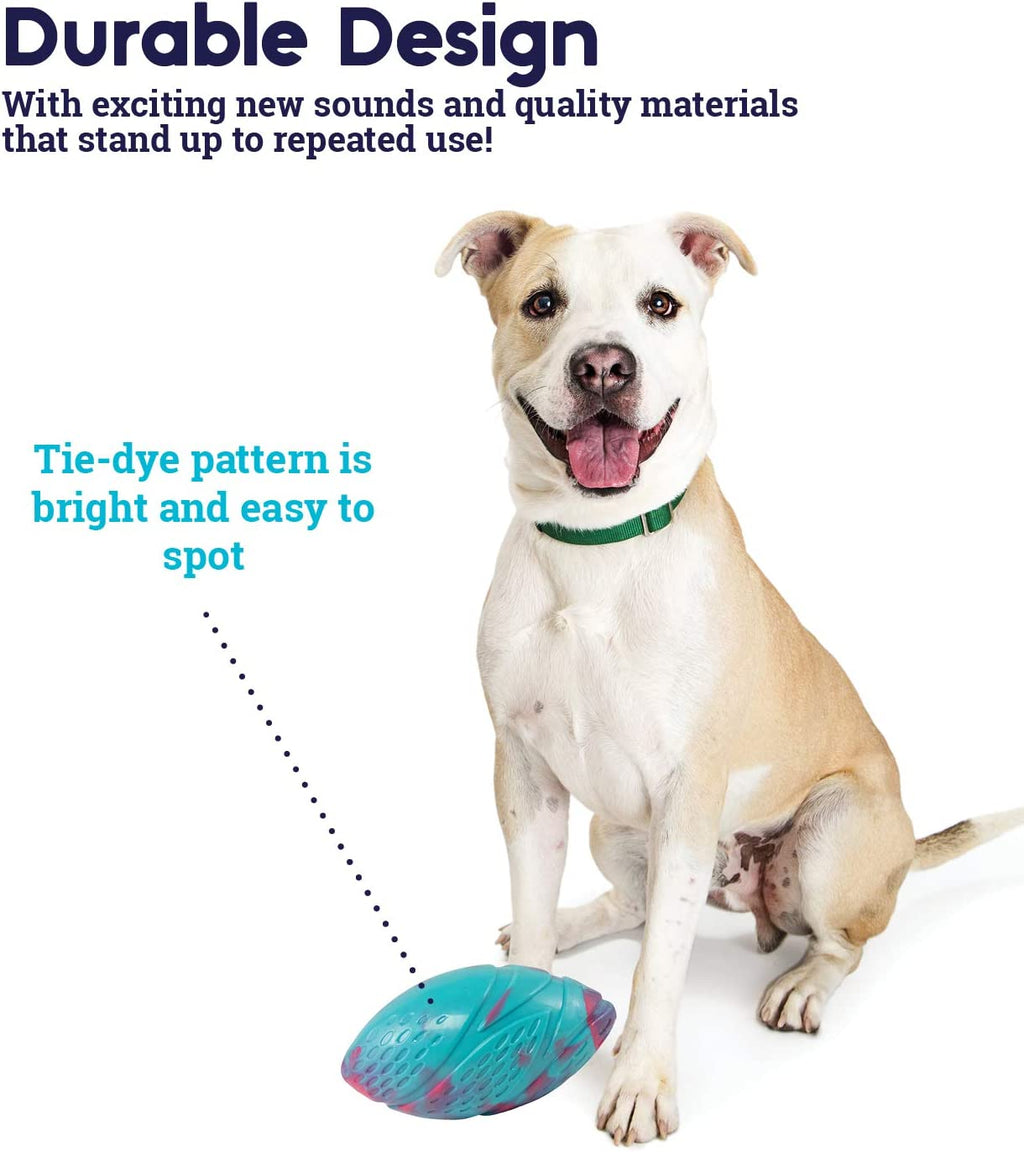 Football Dog Toy C24102
