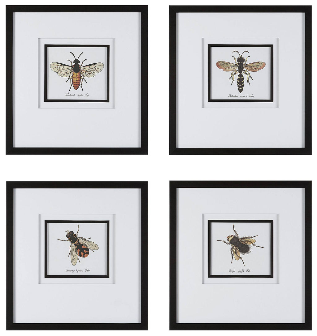 Set of 4 Framed Prints Y9168