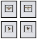 Set of 4 Framed Prints Y9168