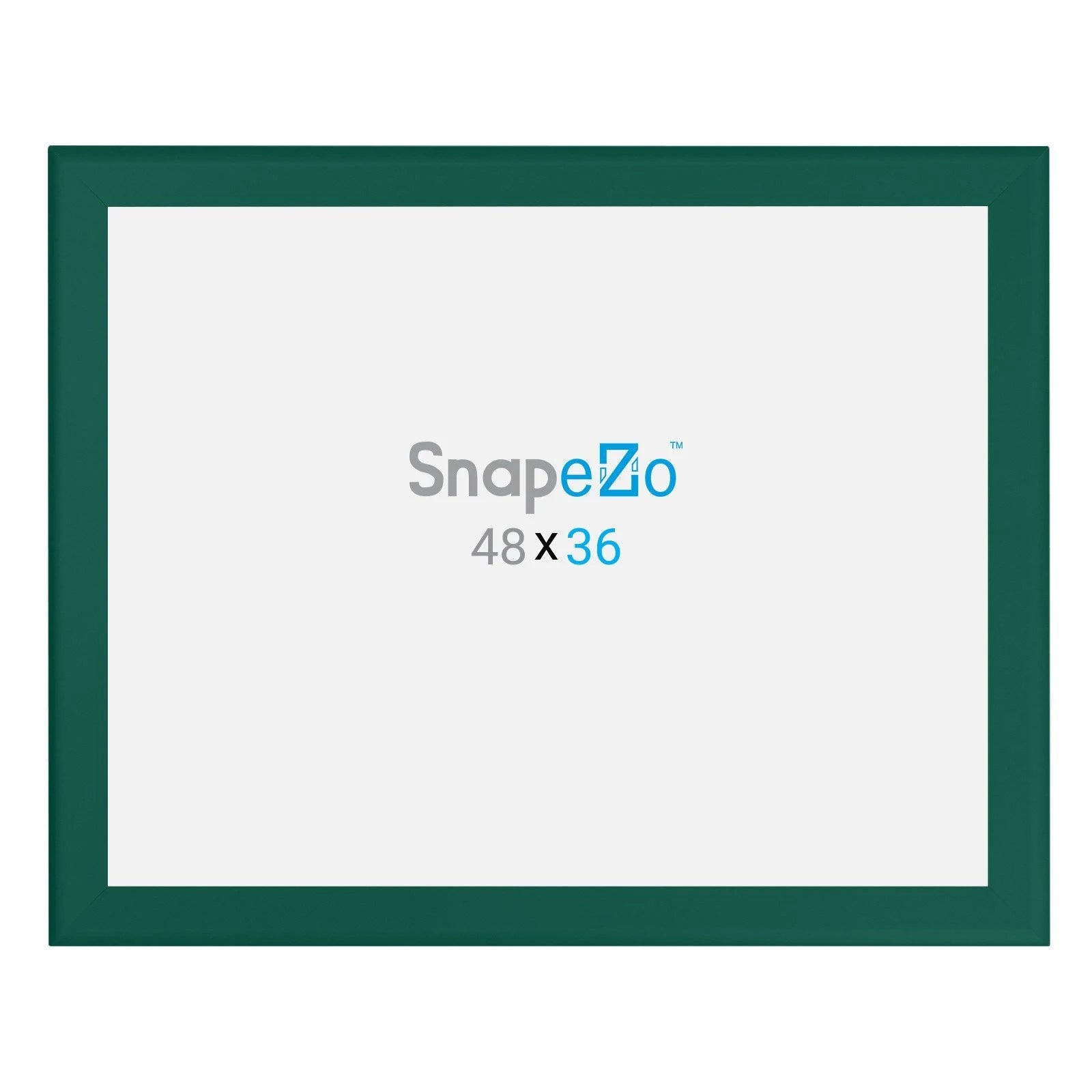 Snap Frame Poster 36x48 T20370