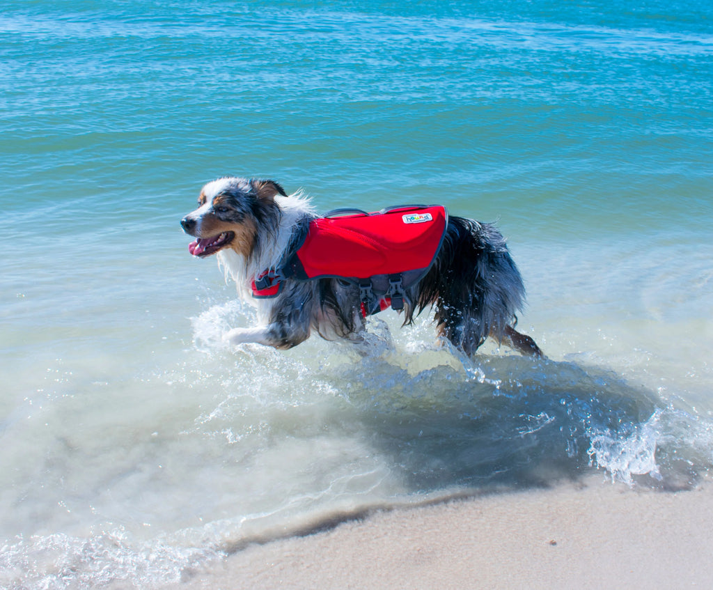 Red XL Dog Life Jacket N5996