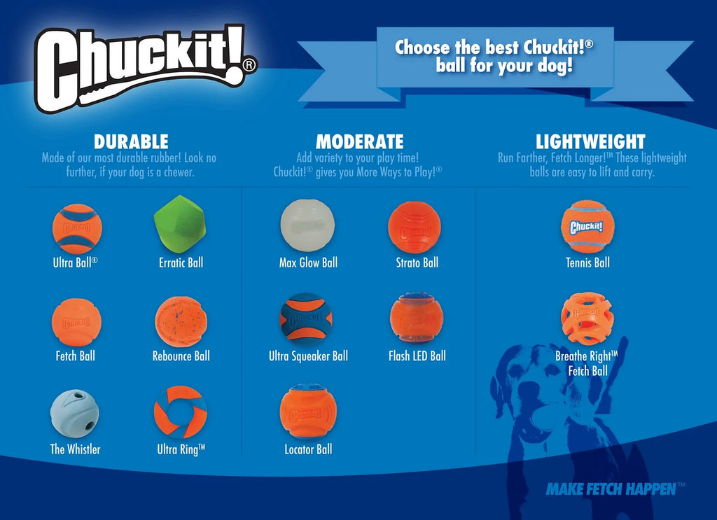 Chuckit Max Glow Ball Dog Toy, Medium 2.5 Inch, Pack of 2 T44899