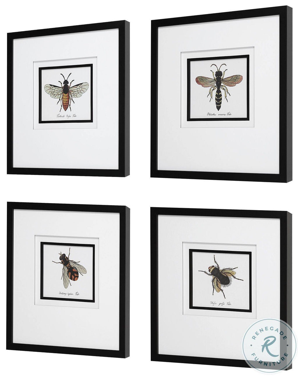 Set of 4 Framed Prints Y9168