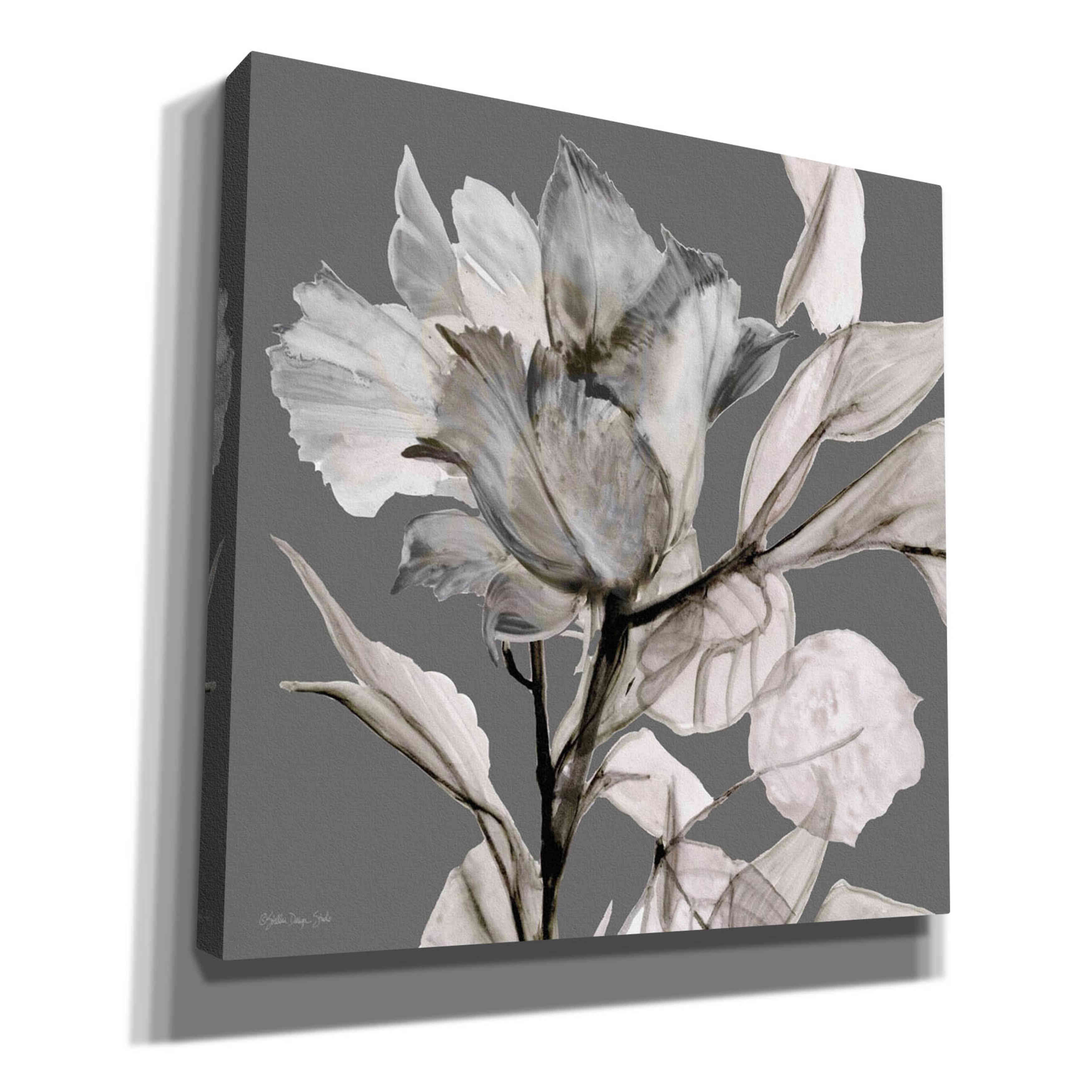 Floral in Gray 2 Canvas Wall Art 18"x18" J171