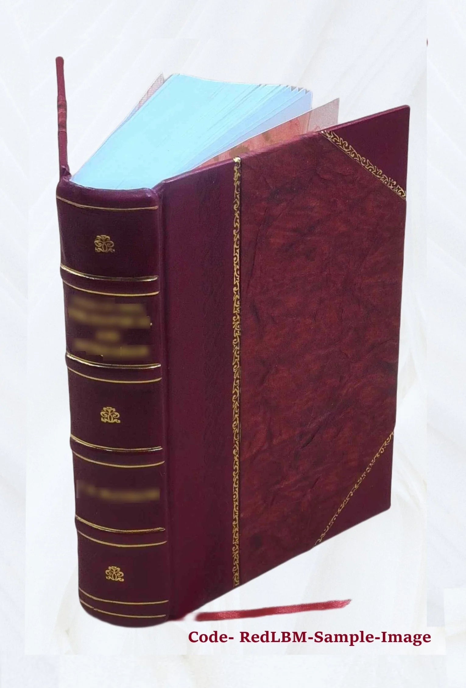 Leather Bound Book X760173