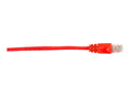 Black Box Patch Cable - 3 ft D437409