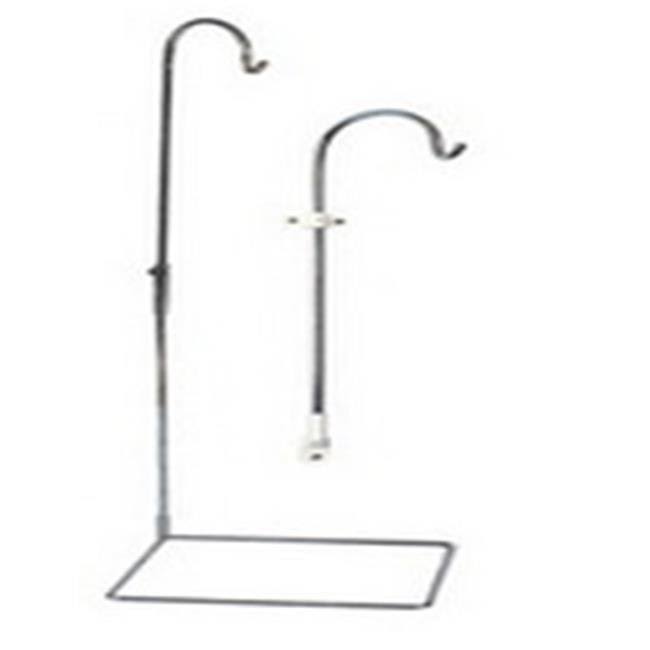 Anatomical Model Spinal Cord Stand Z24209