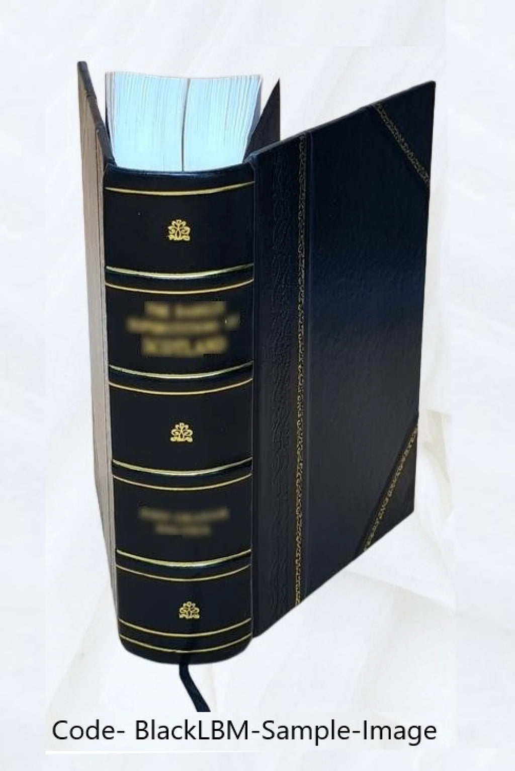 Leather Bound Book X760173