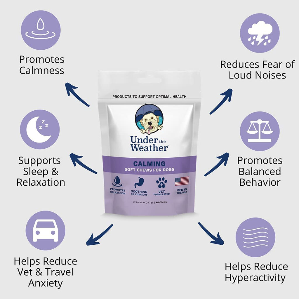 Calming Soft Chews for Dogs (60 Count Pack) E535187