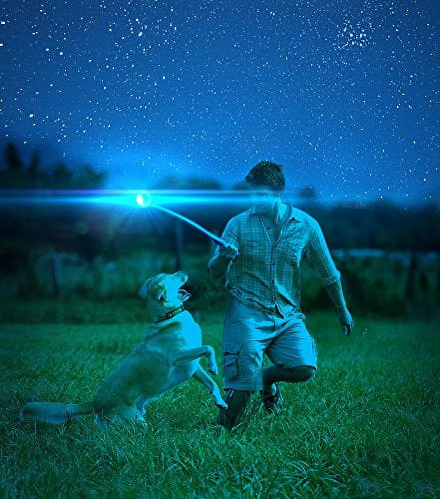 Chuckit Max Glow Ball Dog Toy, Medium 2.5 Inch, Pack of 2 T44899